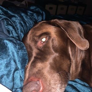 Meet your Posher, Stacey